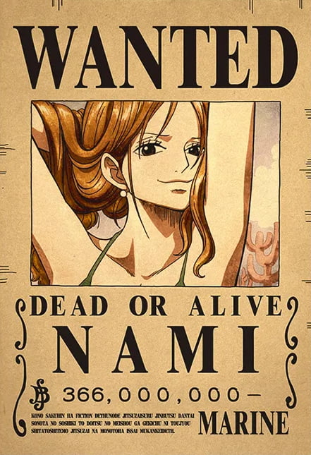 Affiche wanted Nami 366 millions de Berry ONE PIECE