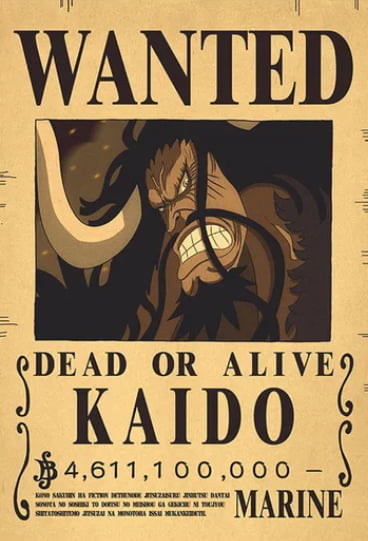 Affiche wanted Kaido 4.611 100 Milliard de Berry ONE PIECE