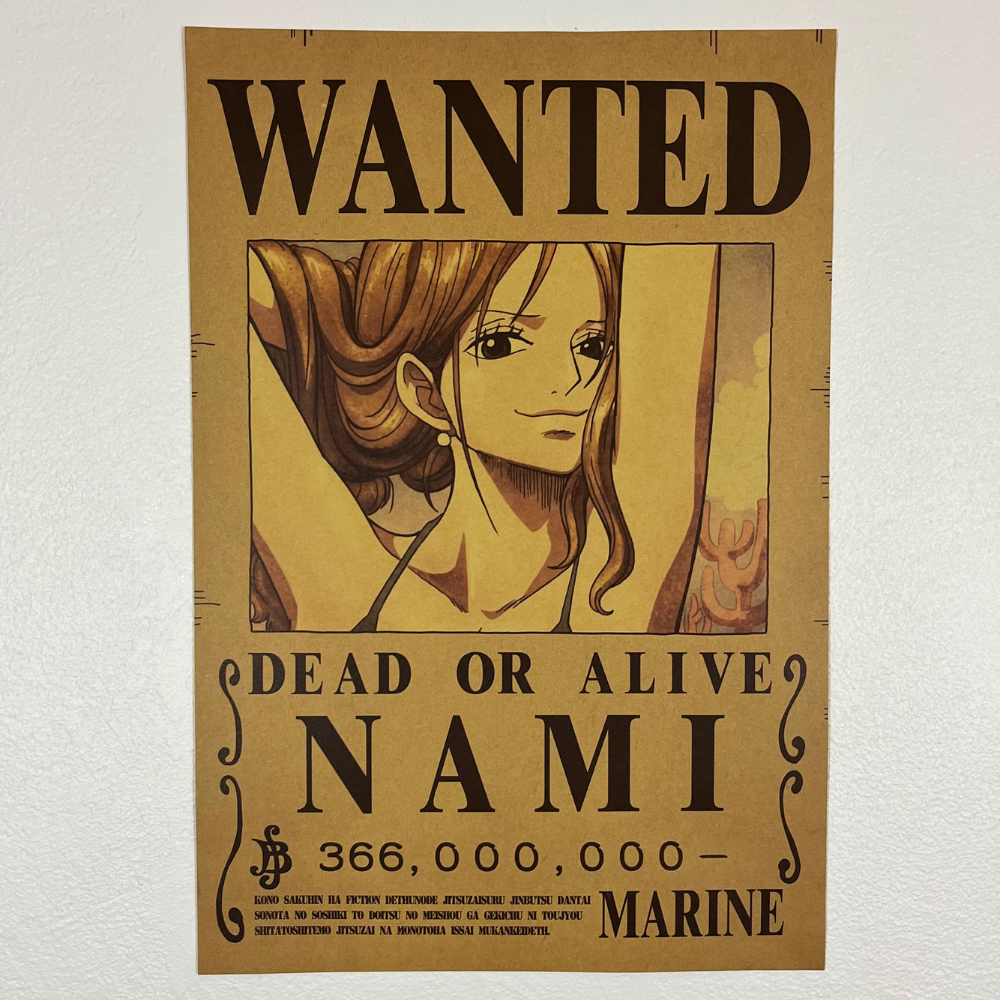 Affiche wanted Nami 366 millions de Berry ONE PIECE